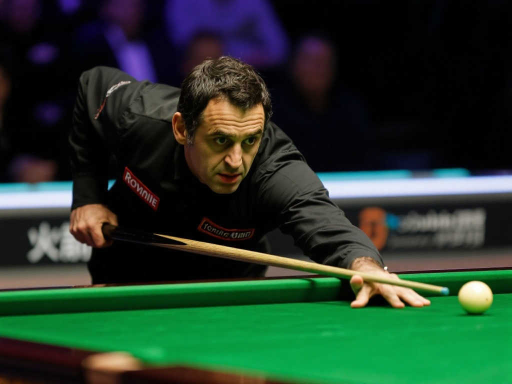 中帮助年轻 中帮助年轻