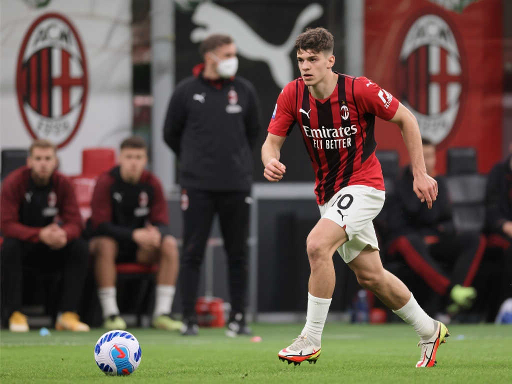 观众希望看 观众希望看